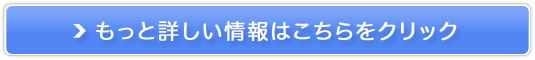 z300~(Ŕ)ŁA̎Ȃ特yIypXz̔TCg